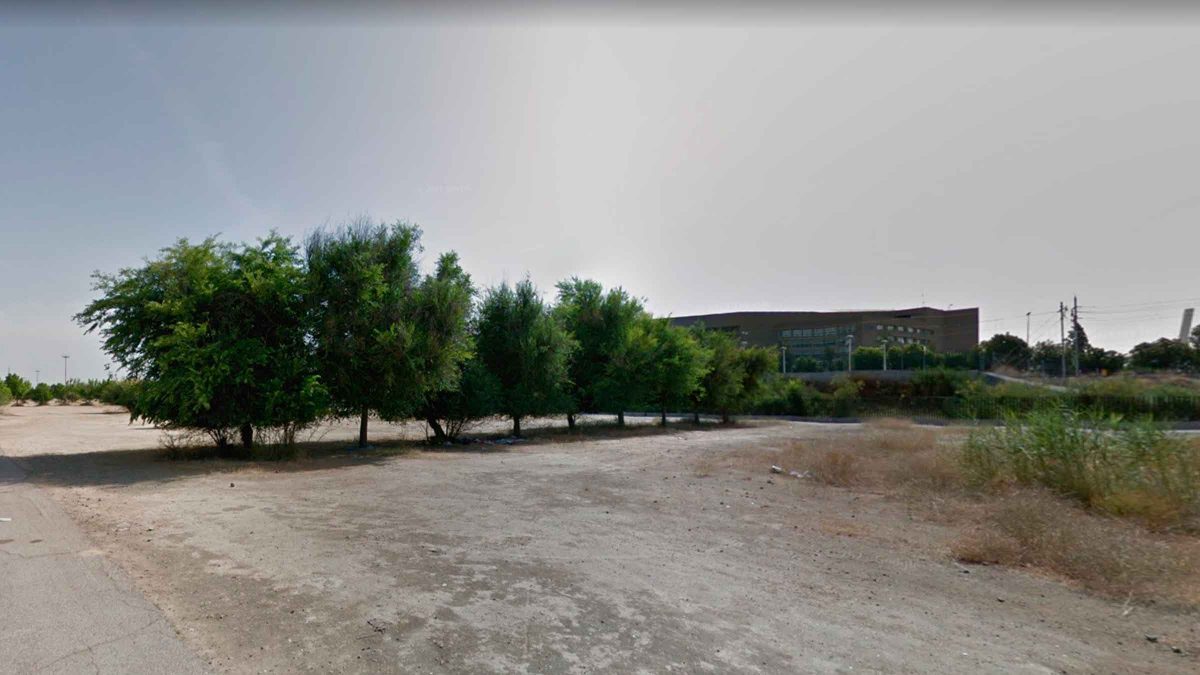 árboles Isla de la Cartuja