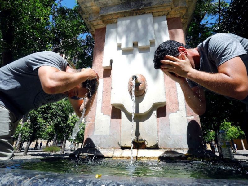 Las altas temperaturas, el