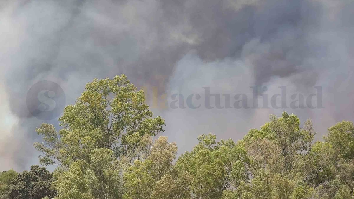 ronquillo incendios