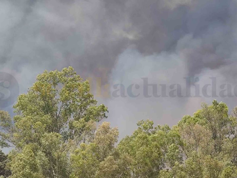 ronquillo incendios