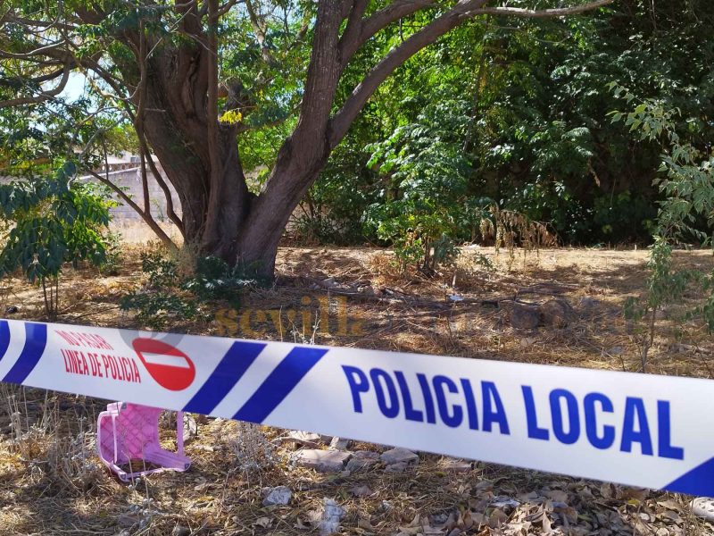 Imagen de la zona de investigación del crimen de Alcalá / Fran Amador