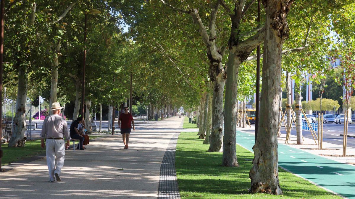 Estas agradables temperaturas son ideales para actividades al aire libre