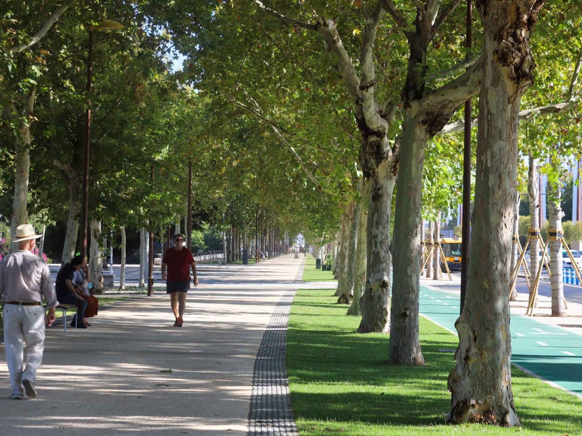 Estas agradables temperaturas son ideales para actividades al aire libre