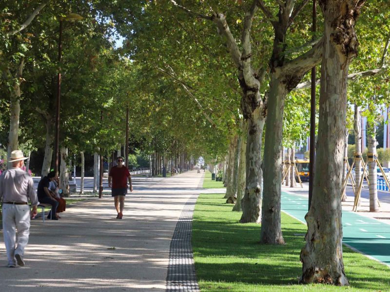 Estas agradables temperaturas son ideales para actividades al aire libre