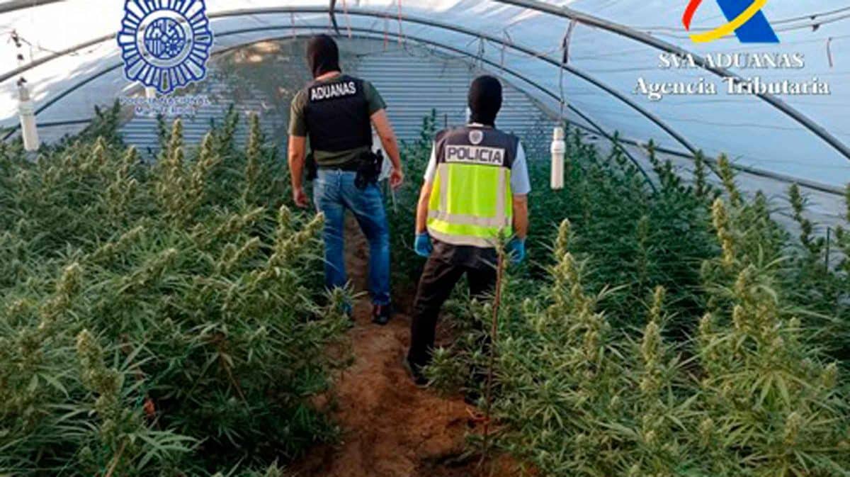 Operación antidroga en Utrera / SA