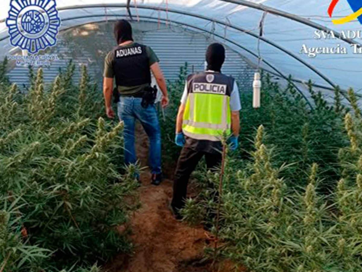 Operación antidroga en Utrera / SA