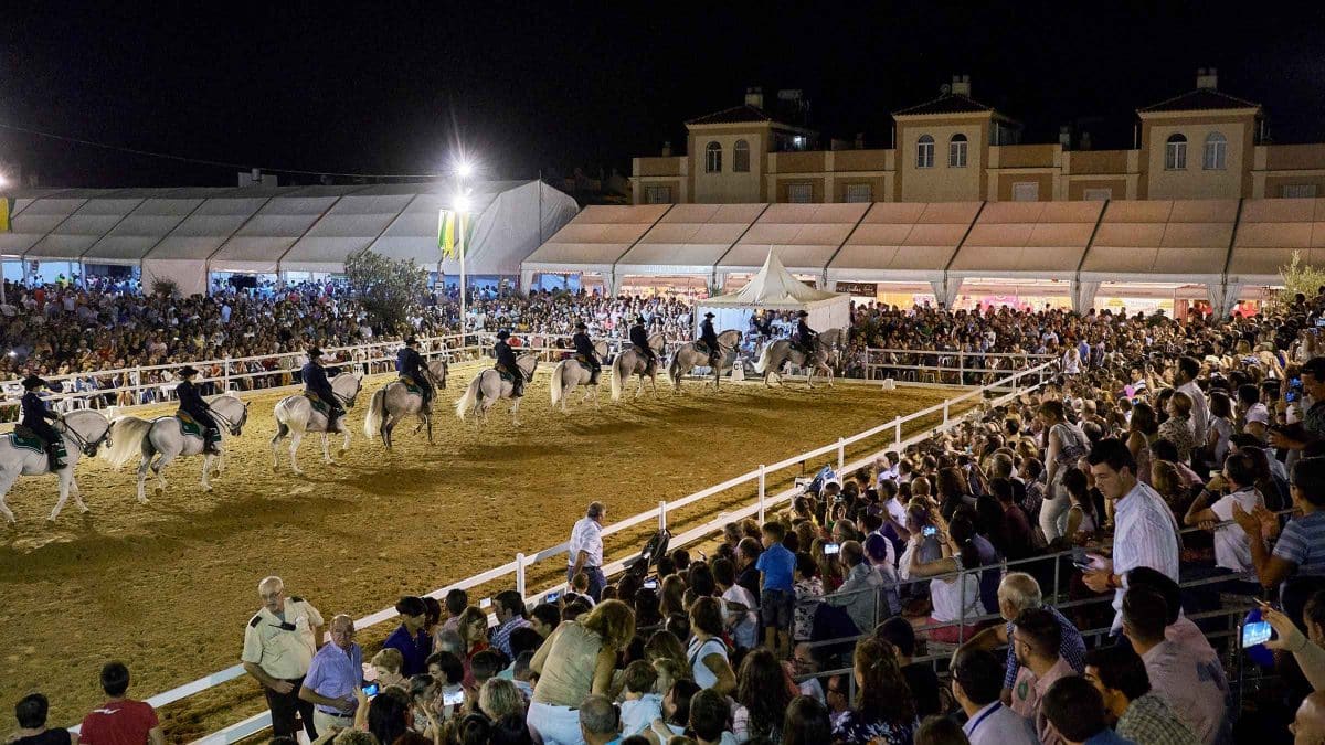 Espectáculo de caballos en 'Una Pará en GInes' / AD