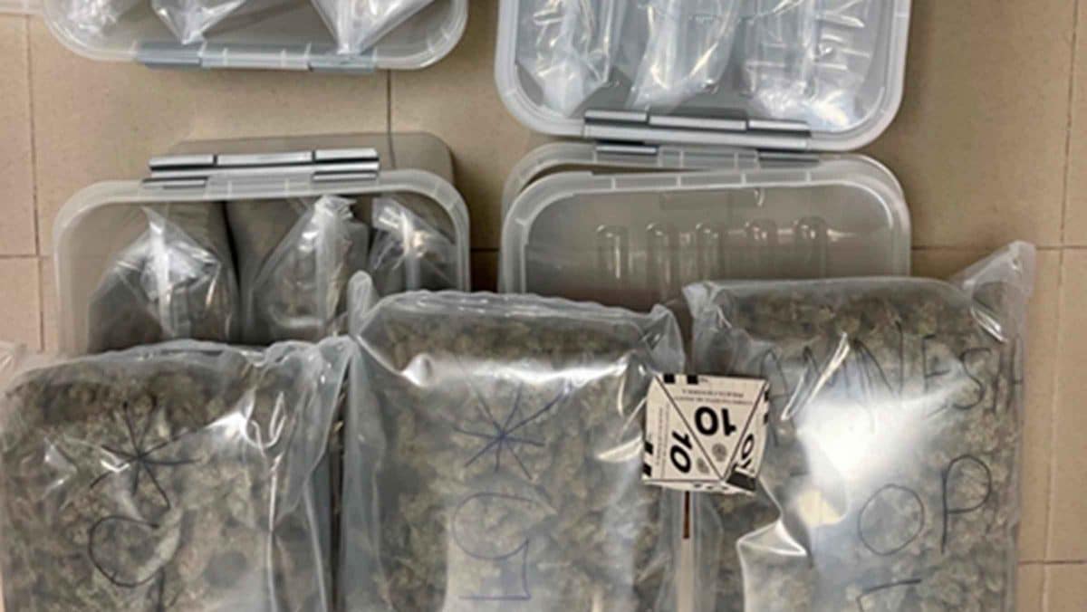 Imagen de la operación de la Policía Nacional en Camas / AD