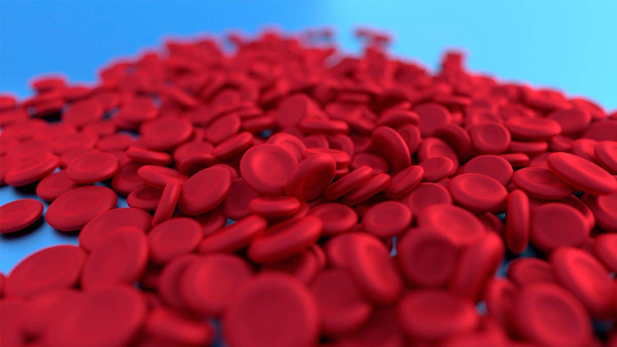 Glóbulos rojos, síntomas de la anemia