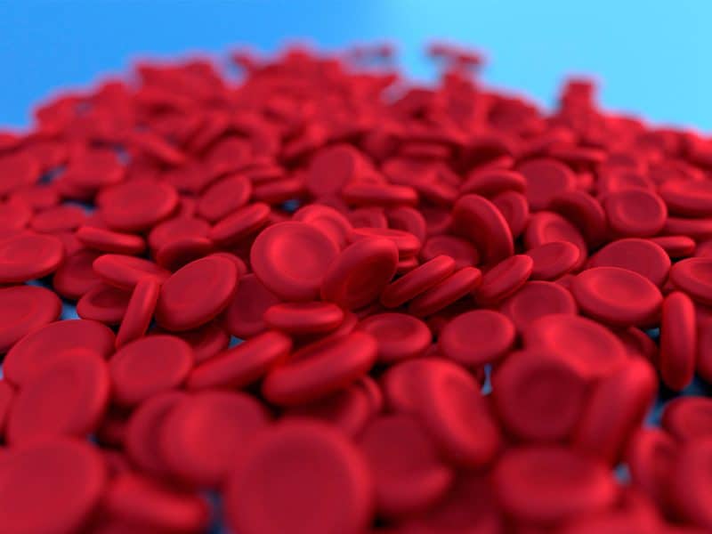 Glóbulos rojos, síntomas de la anemia