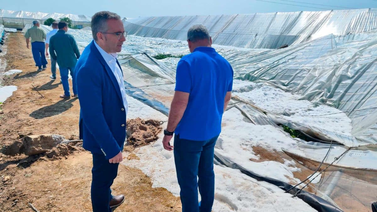 El alcalde de Los Palacios visitó algunos terrenos afectados para evaluar los daños sufridos