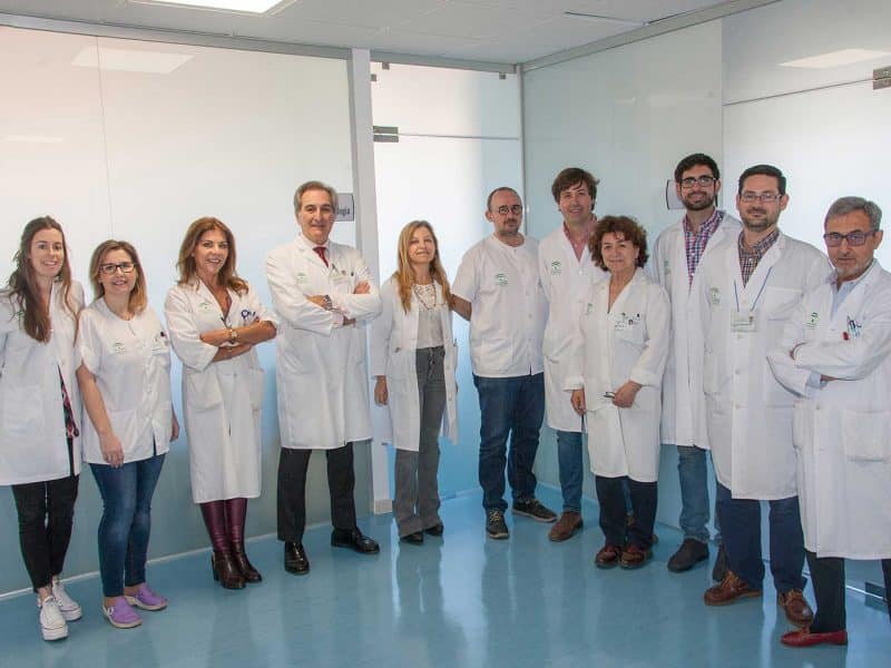 Los profesionales encargados del proyecto