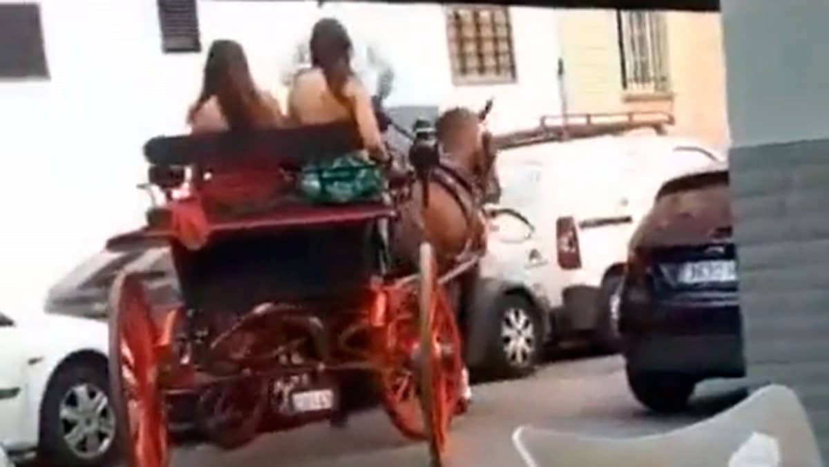 El aparcamiento con coche de caballos que ha fascinado a Twitter