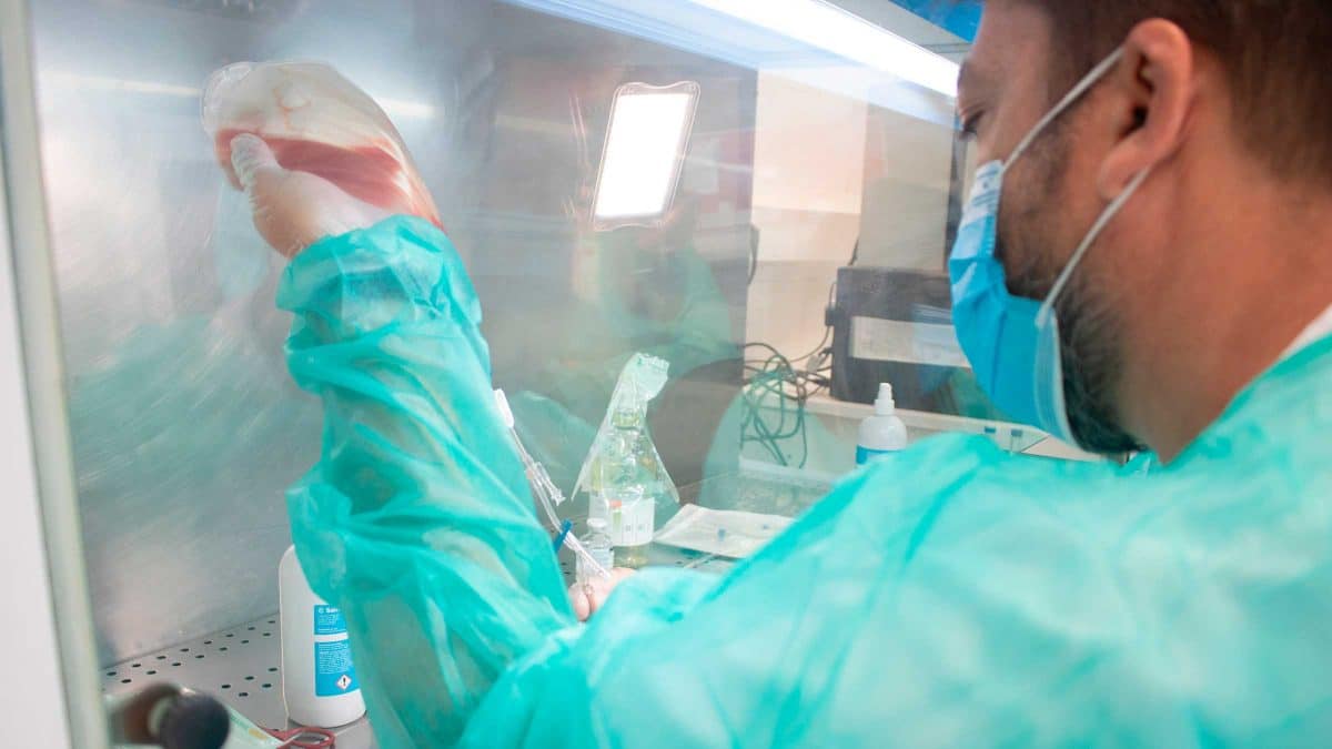 Este medicamento será clave en la lucha contra el cáncer