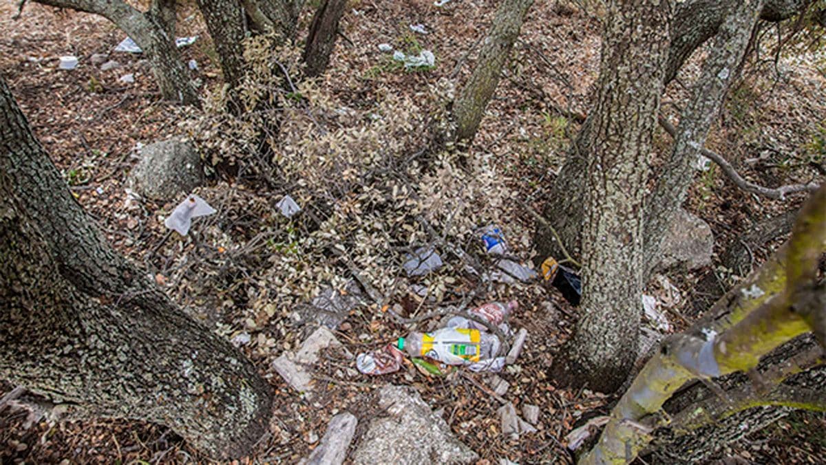 12 pueblos de Sevilla se movilizan contra la basuraleza de la mano del Proyecto LIBERA.