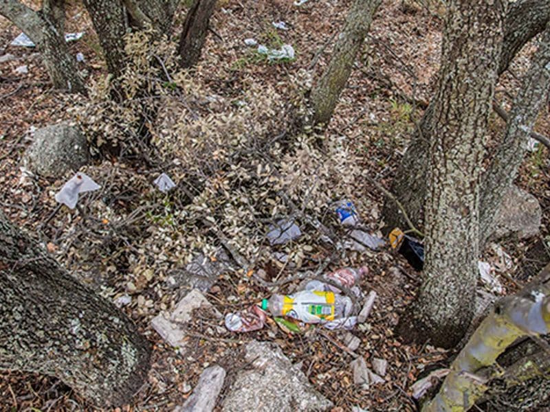 12 pueblos de Sevilla se movilizan contra la basuraleza de la mano del Proyecto LIBERA.