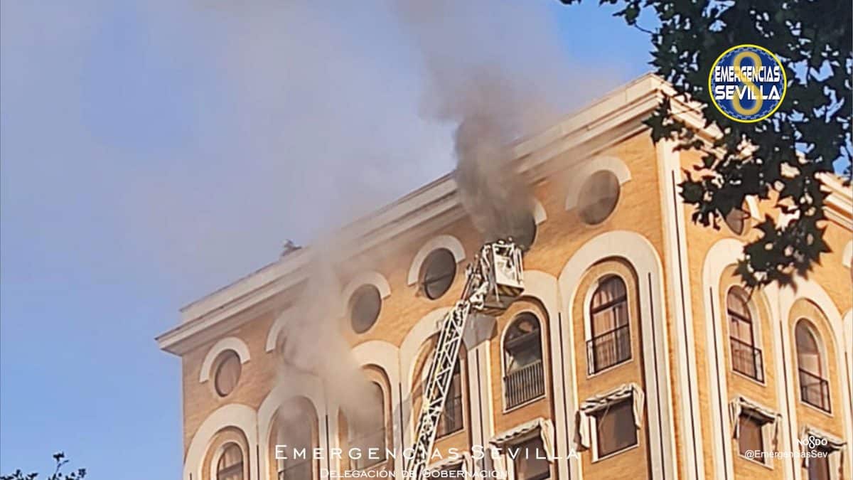 Imágenes tomadas en el momento de la intervención