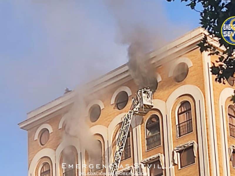 Imágenes tomadas en el momento de la intervención
