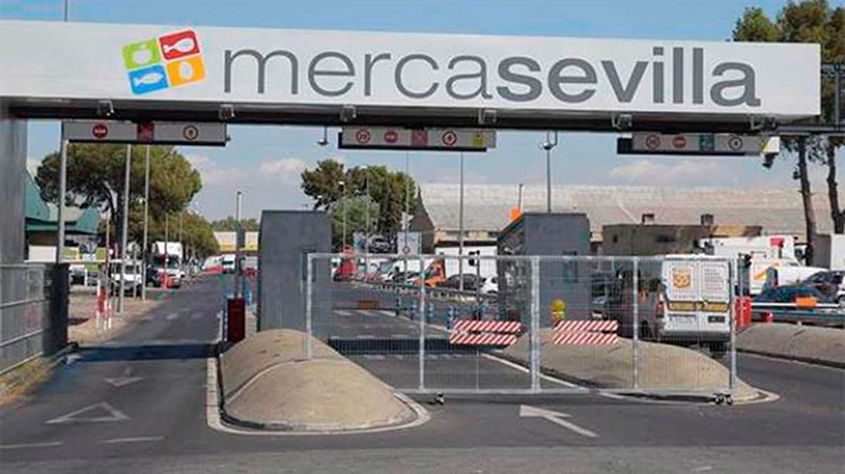 Se buscan 10 mozos de almacén para trabajar en Mercasevilla.