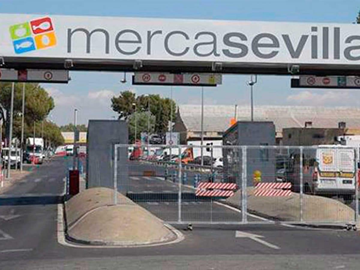 Se buscan 10 mozos de almacén para trabajar en Mercasevilla.