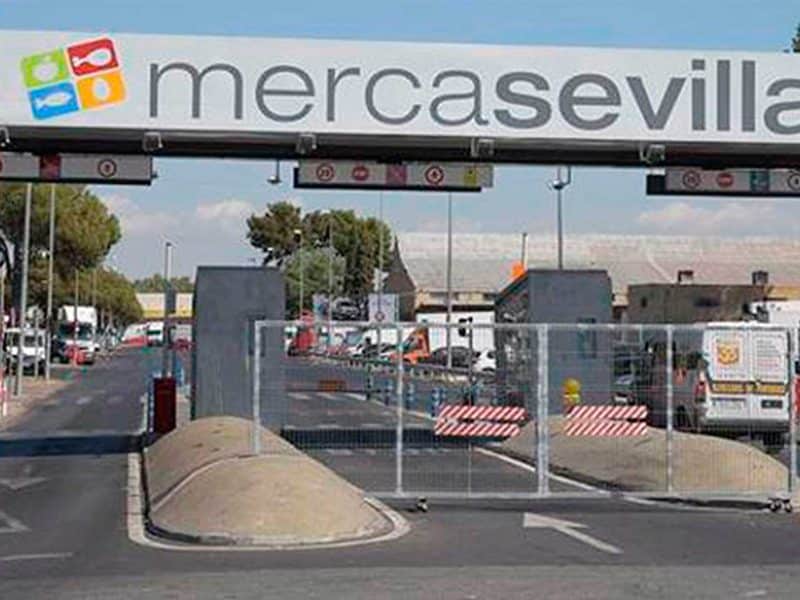 Se buscan 10 mozos de almacén para trabajar en Mercasevilla.