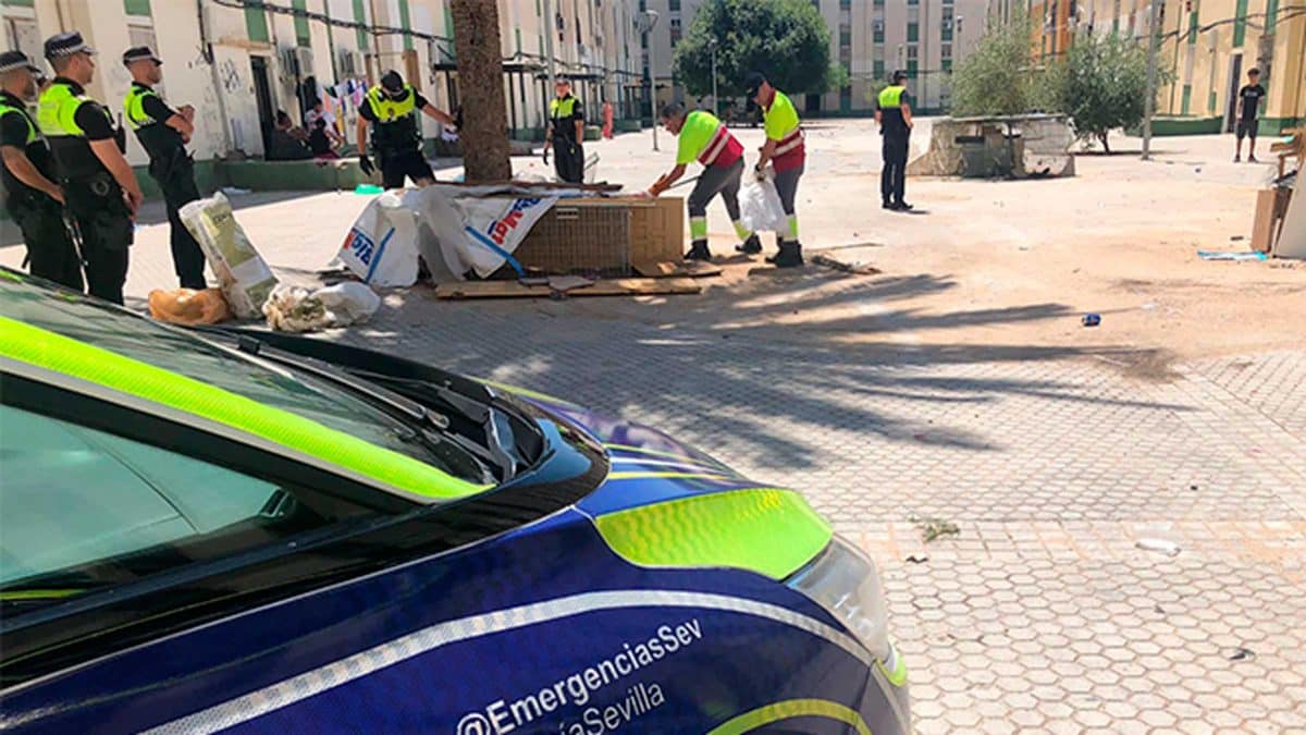 Retirada de una decena de gallos de pelea en el Polígono Sur.