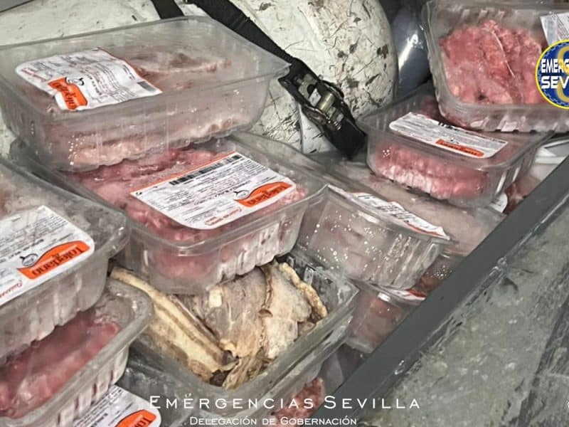 Una vez más, las autoridades incautaron grandes cantidades de alimentos en mal estado en los alrededores del Estado de La Cartuja