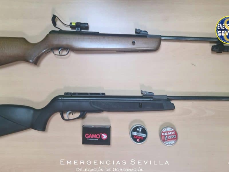 Las armas confiscadas a estos dos hombres