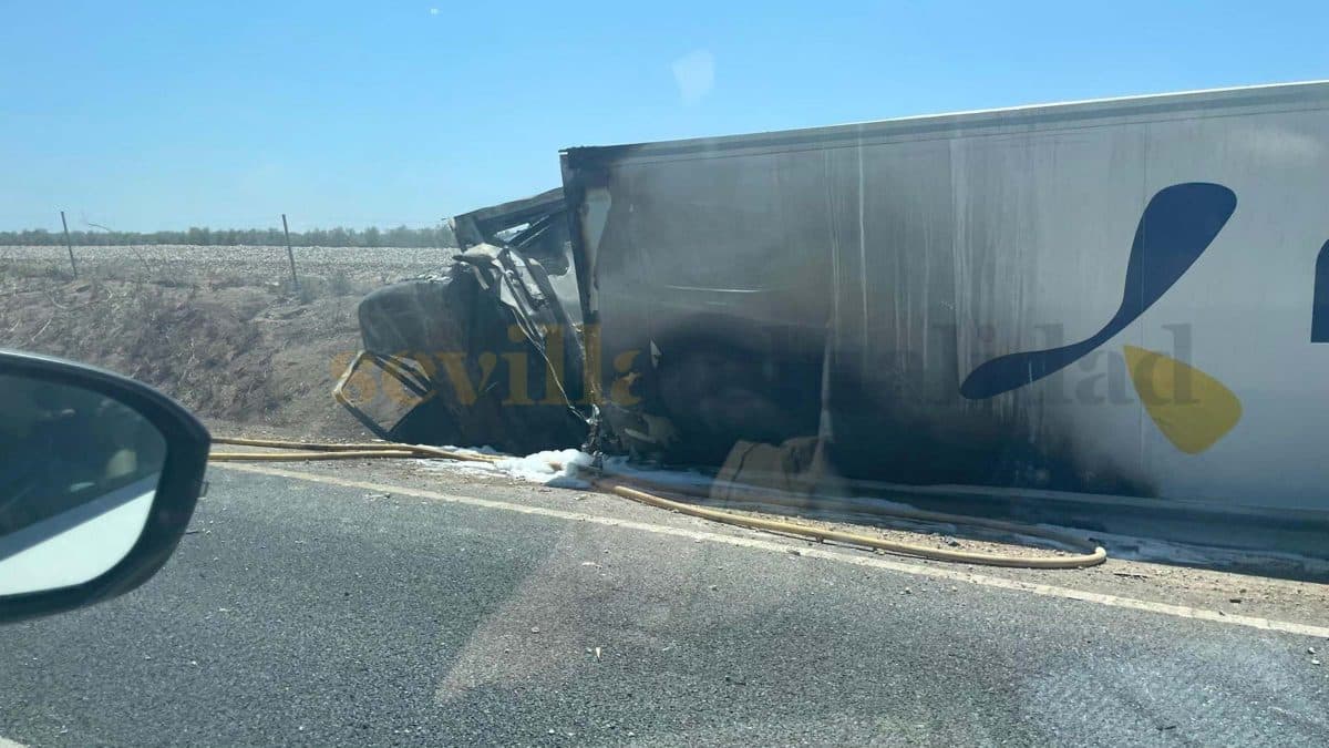 Imagen del camión siniestrado / Clara Fajardo