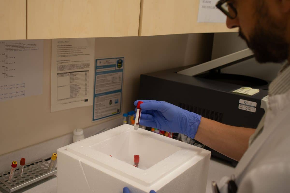 Imagen de un sanitario analizando una muestra en este estudio