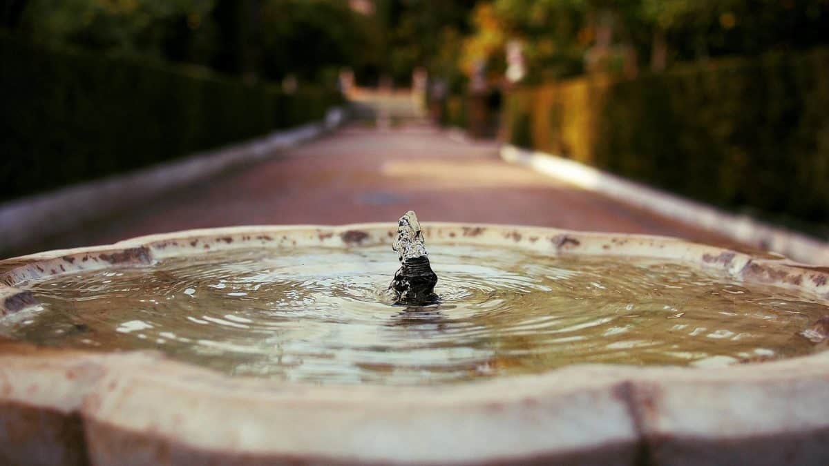 Fuente en el Alcázar de Sevilla