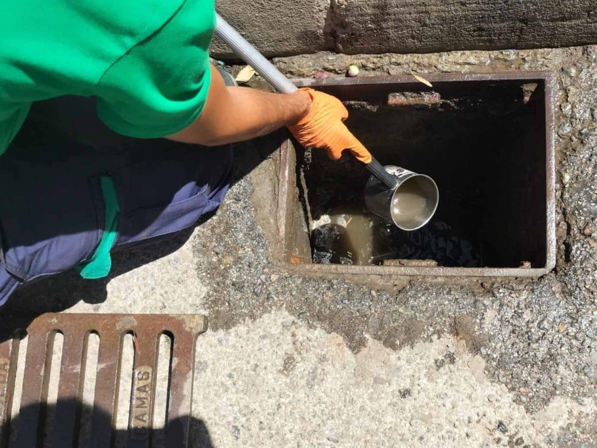 Control de Virus de la Fiebre del Nilo en Guillena (Sevilla)