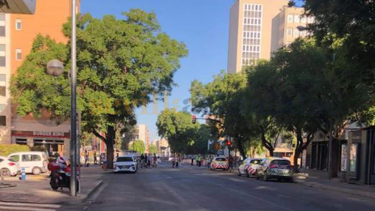 Tráfico reanudado en la avenida Ramón y Cajal / José Luis Caro Pastor