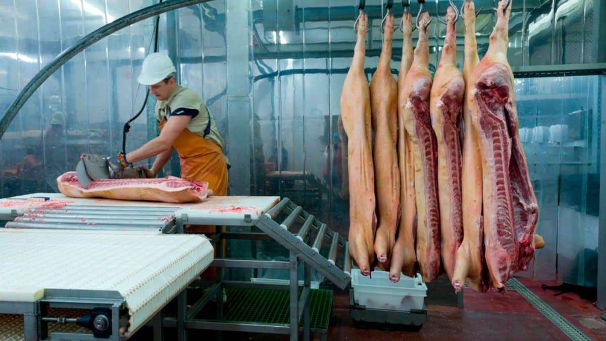 Se trata de una oferta emitida por una empresa cárnica visueña