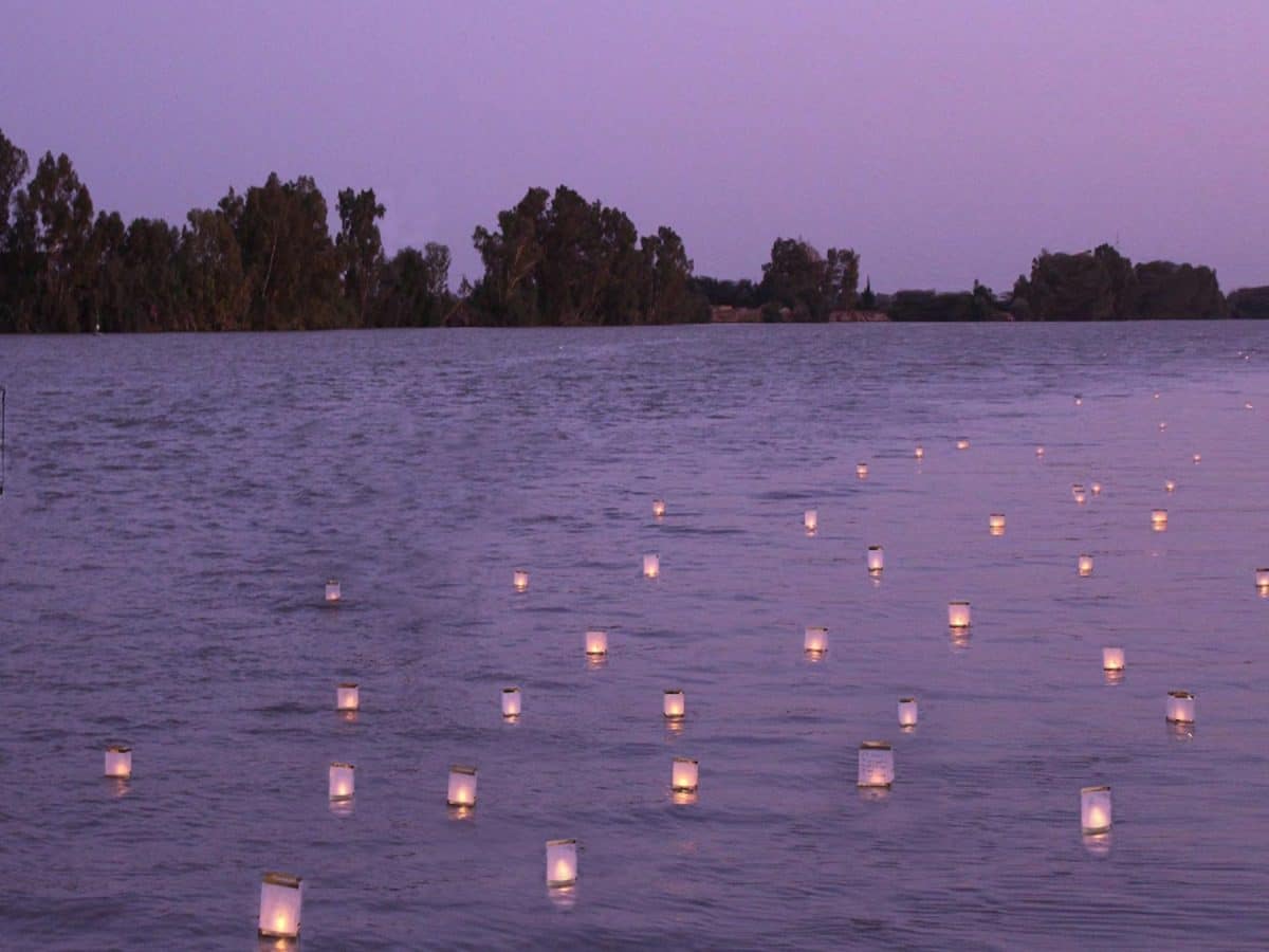 Farolillos flotando en el Guadalquivir en el Toro Nagashi
