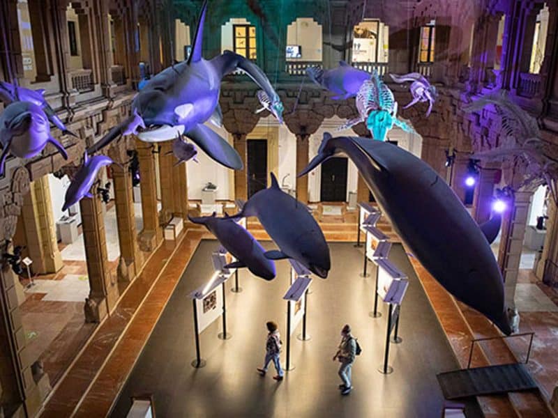 Interior del museo sevillano de la Casa de la Ciencia