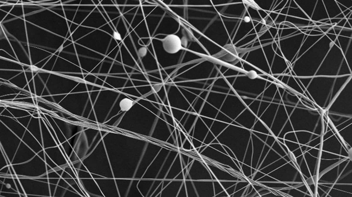 Imagen ampliada de estas microfibras