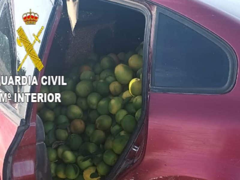 Coche repleto de naranjas robadas en Alcolea del Río