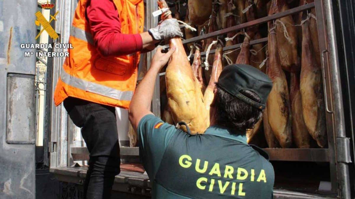 Imagen recurso de un agente de la Benemérita confiscando jamones