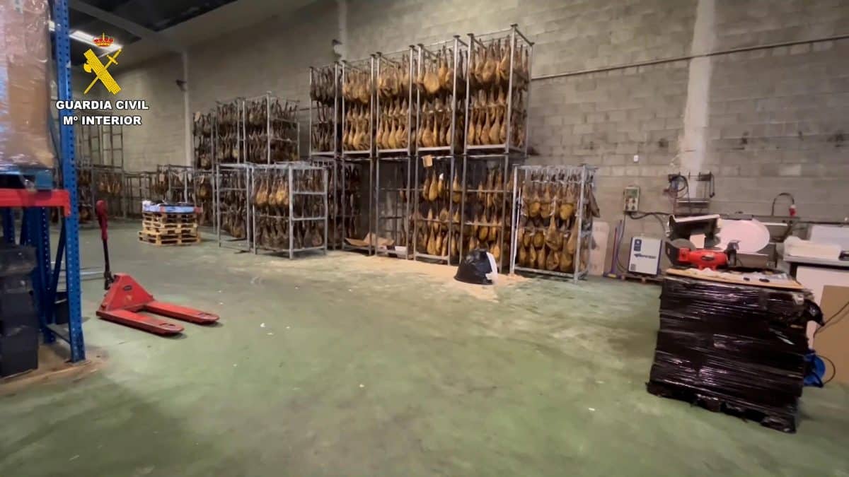 Estos jamones, almacenados en una nave industrial