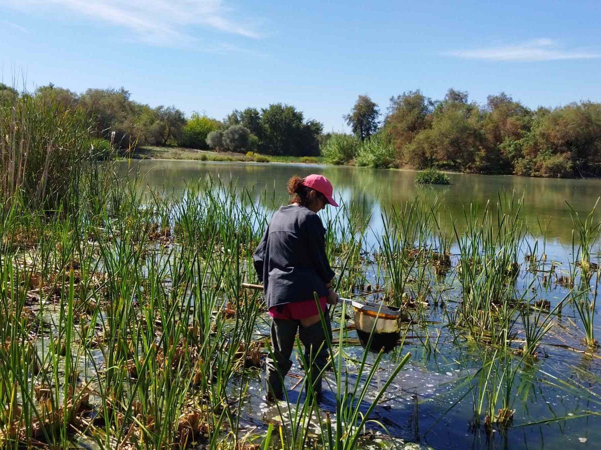 Imagen de este estudio en la Laguna de Fuente del Rey