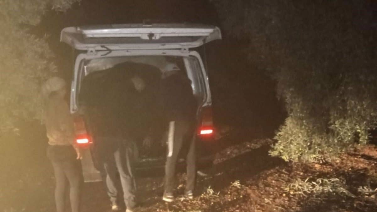 Agentes de la Guardia Civil en su intervención