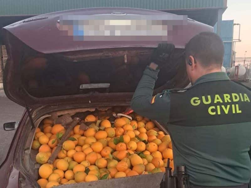 Agente de la Guardia Civil registrando uno de estos vehículos