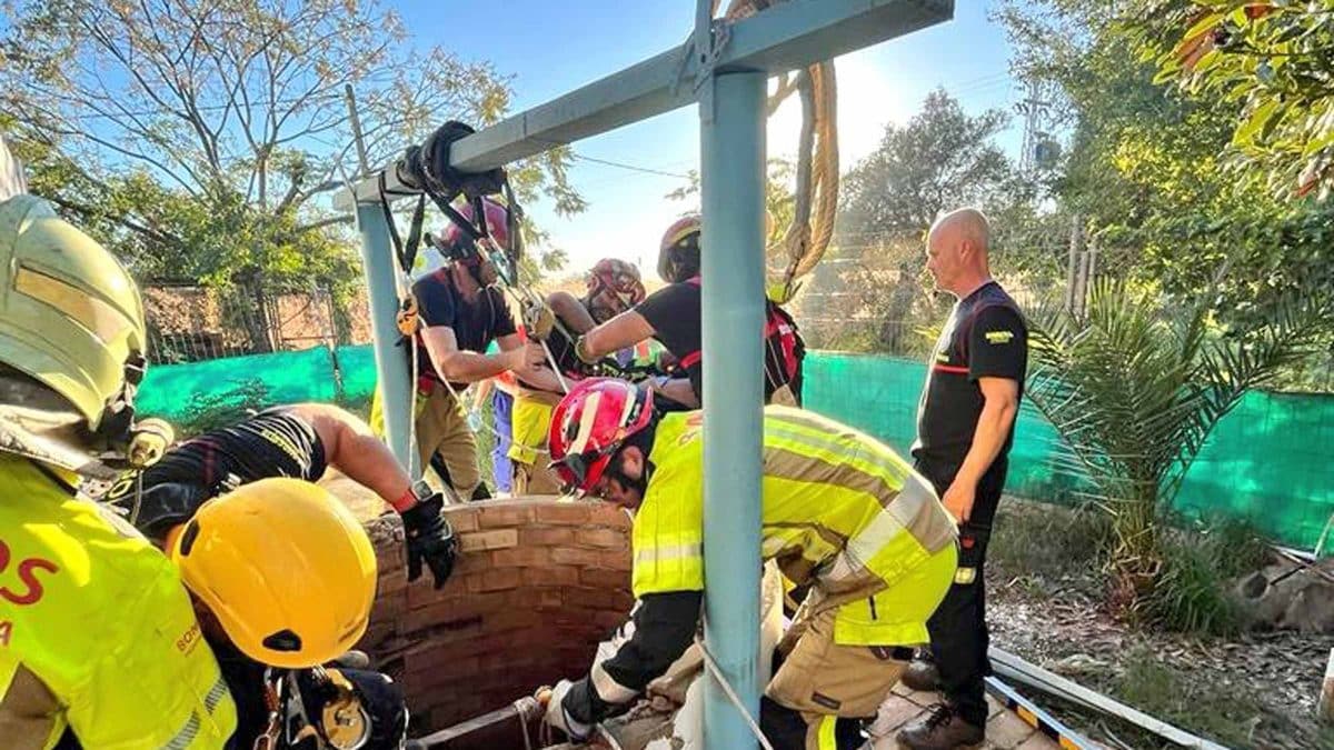 Los bomberos en este dispositivo de rescate