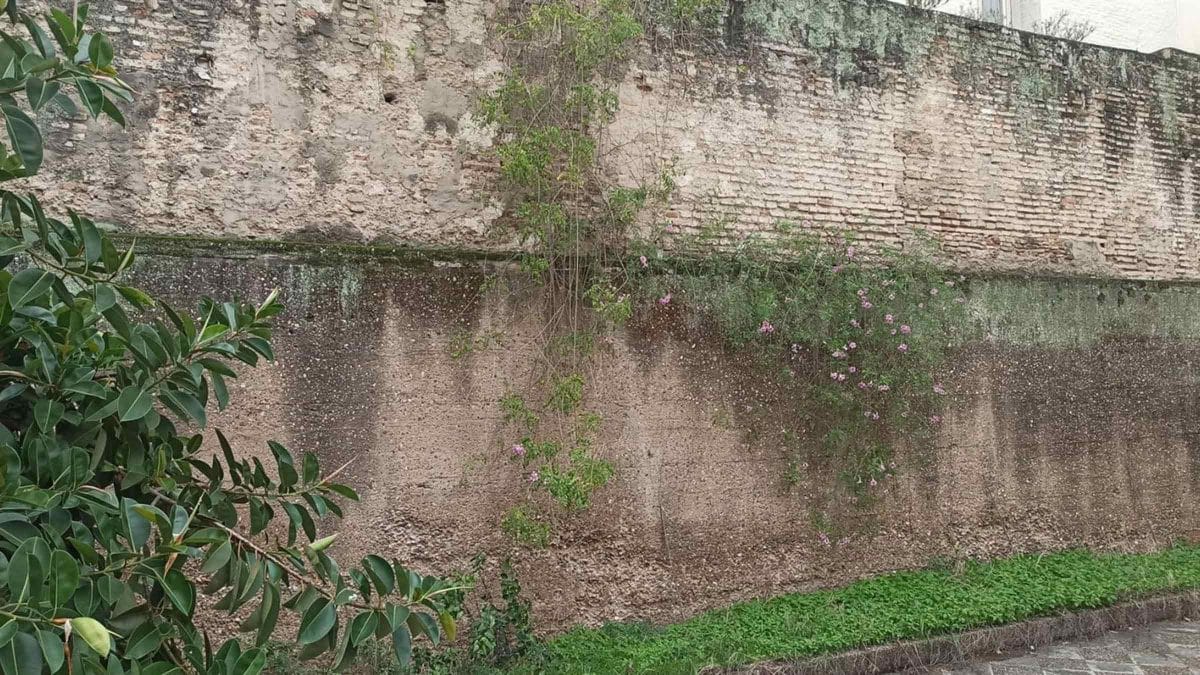 Restos almohades hallados en la zona de Puerta de Jerez