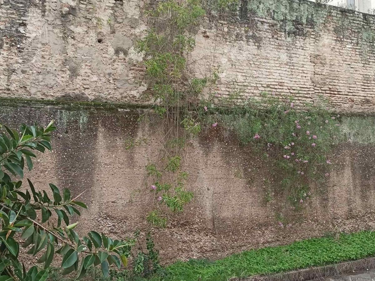 Restos almohades hallados en la zona de Puerta de Jerez