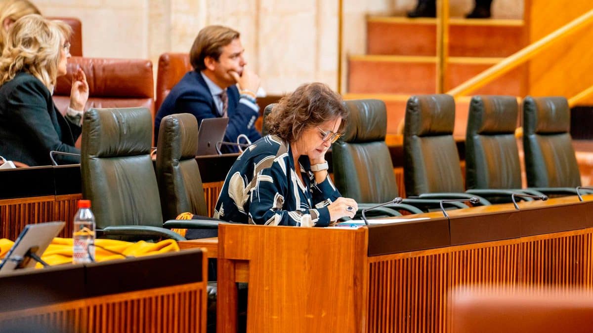 La consejera de Salud y Consumo, Catalina García