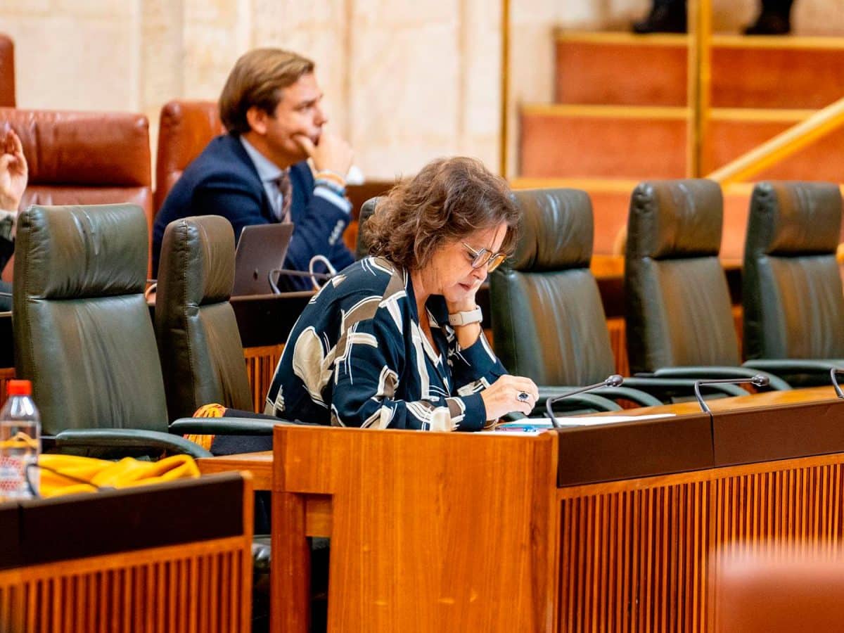 La consejera de Salud y Consumo, Catalina García