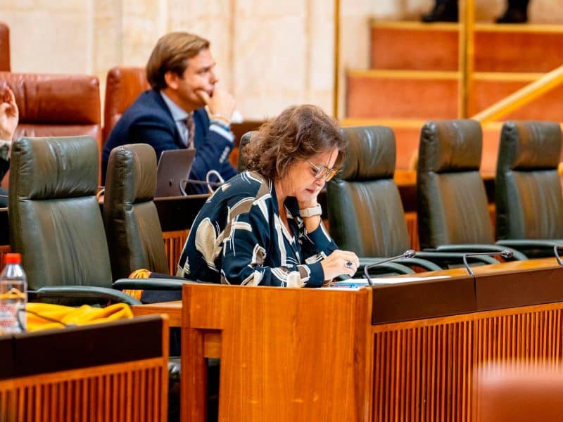 La consejera de Salud y Consumo, Catalina García