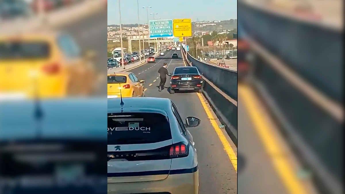 Imágenes de esta pelea en plena vía